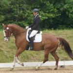 Bettina Sontag und Quelle Couleur
Dressur Klasse A