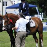 Maria Plesse und Cassy 
5.Platz Standard-Springwettbewerb